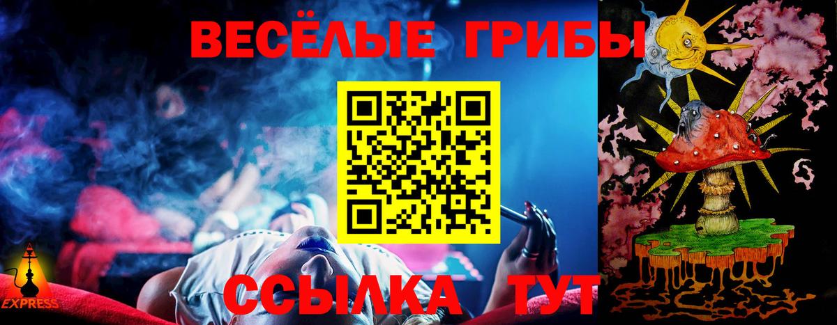 Славянск-на-Кубани  Галлюциногенные грибы Psilocybe  Галлюциногенные грибы Psilocybe  Вход с VPN 